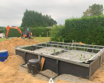 Plantation des roseaux